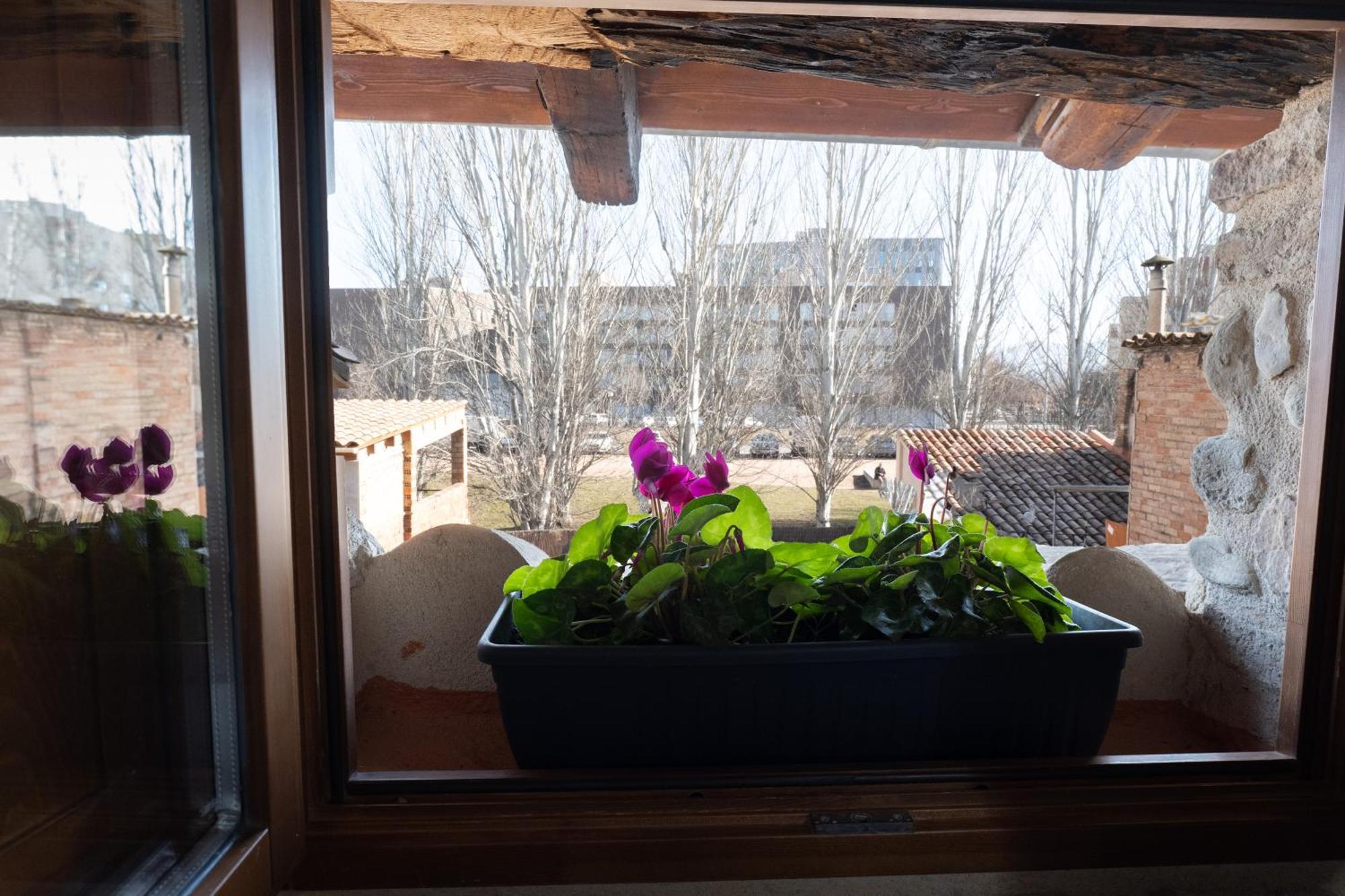 Ferienwohnung Niu De Queralt Vic Exterior foto